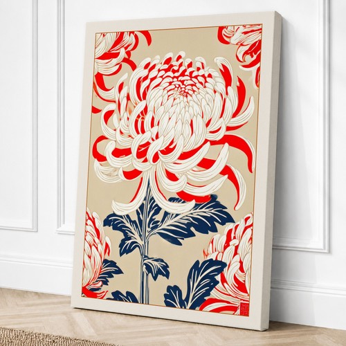 Chrysanthemum bloom botanical - chrysanthemum,
