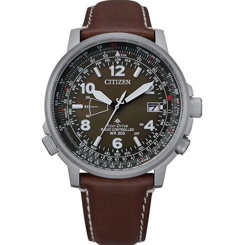 Citizen promaster air - air, skyhawk