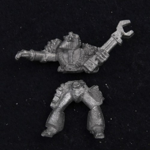Rogue trader space marine - trader,