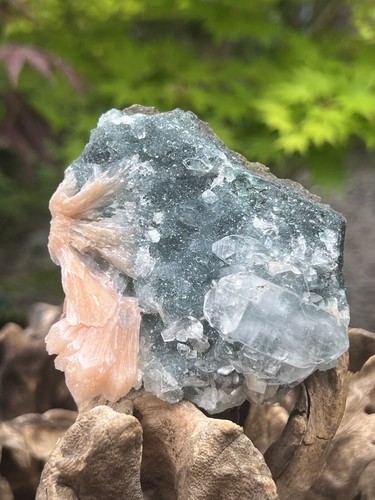 Apophyllite cluster bed - cluster, with
