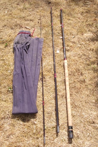 Diawa sensor 12ft - diawa, float
