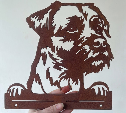 Rusty border terrier garden - border,