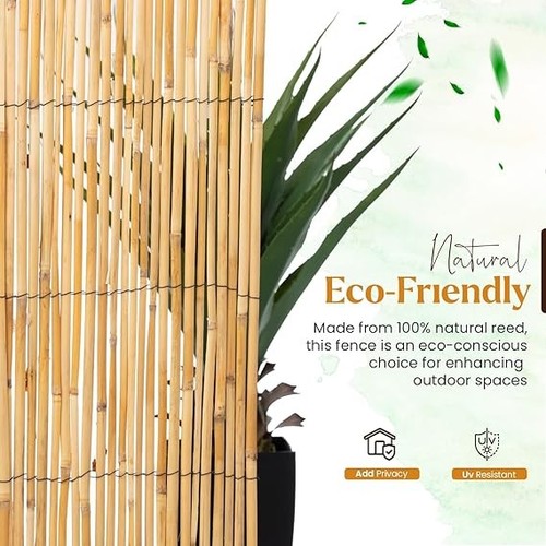 Natural reed fence screening - natural,