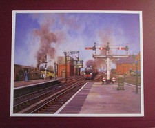 MALCOLM ROOT  9.20" x 7.30"