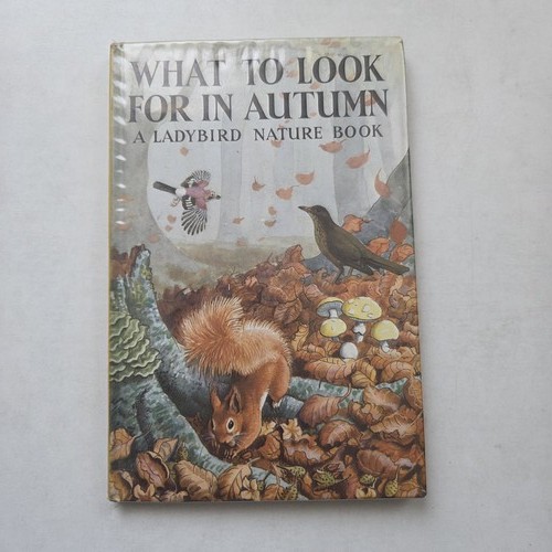 1960 ladybird what - 1960, for