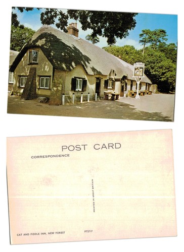 Postcard the cat - postcard, and