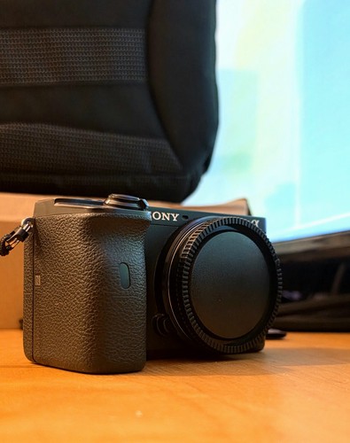Sony a6600 mirrorless - a6600, +