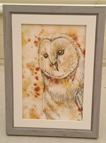 Original framed barn - framed, owl