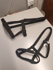 Field safety headcollars