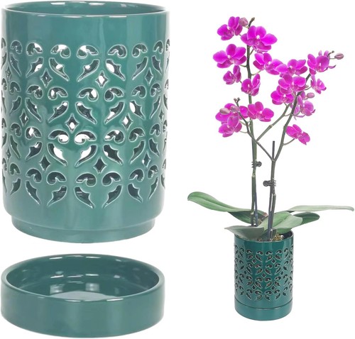 Ceramic orchid pot inch - orchid,