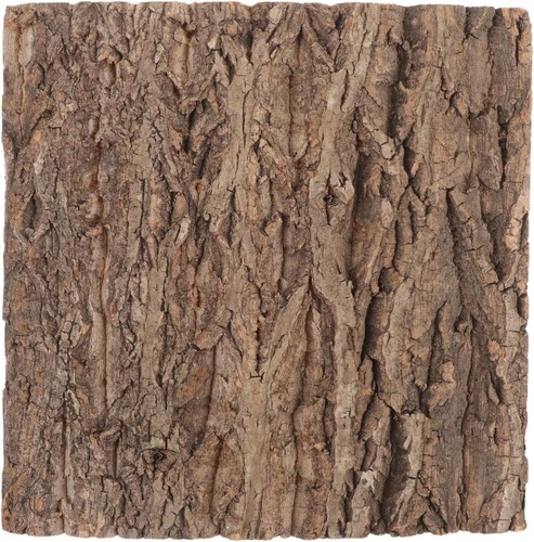 Real bark background board - real,