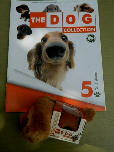 Genuine the dog artist - genuine,