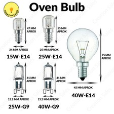 Oven Bulb Cooker Appliance
