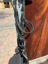 dylon bridle equestrian size