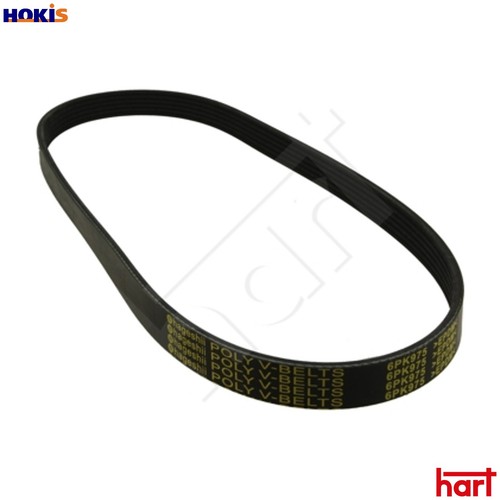 Vribbed belt 368 802 - vribbed,