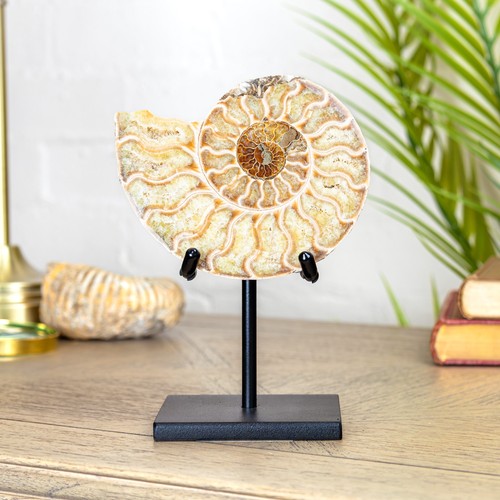 Inch yellow cut polished - inch,
