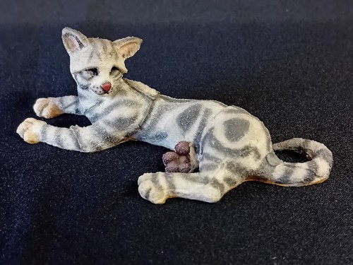 Breed apart silver cat - 'silver, cat'
