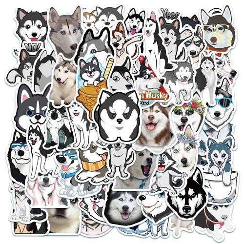 Siberian husky dogs lover - siberian,