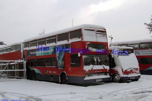 Bus photo 7x5 - wilts, &