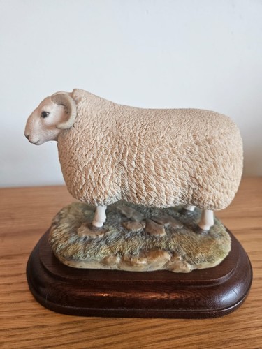 Border fine arts cheviot - arts, ram