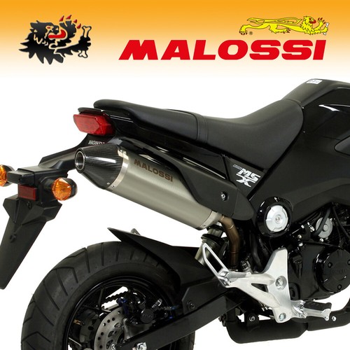 3216365 malossi gp - 3216365,