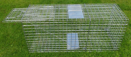 Large folding fox trap - fox, trap,