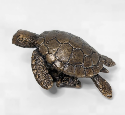 Solid bronze hawksbill sea - hawksbill,