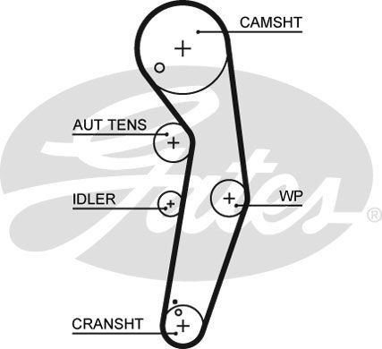 Gates timing belt water - timing, belt/water