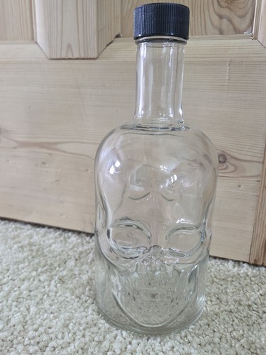 Empty new skull - new, 21cm