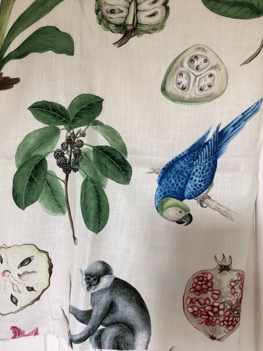 Sanderson capuchins linen - sanderson,