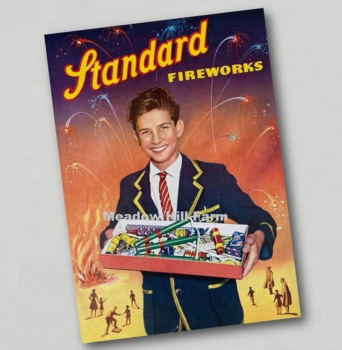 Fridge magnet standard - fridge,