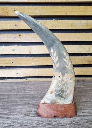 Vintage water buffalo - vintage,