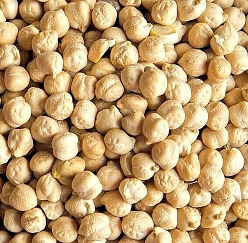1000 dry chickpea seeds - seeds, to