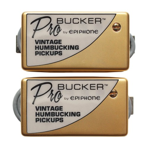 Set probucker alnico - 1,