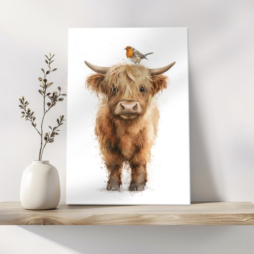 Highland cow robin - highland, &