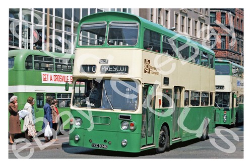 Bus photograph merseyside pte - photograph,