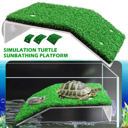 Turtle basking platform - turtle,