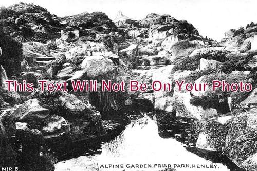 840 alpine garden friar - -, garden,
