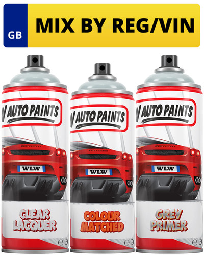 Aerosol spray paint kit - aerosol,