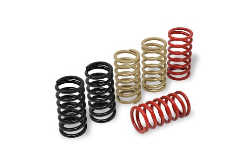 Cnc clutch springs h38 - clutch, ducati