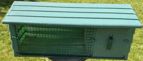 Plastic all weather guinea - all,