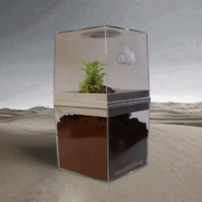 Ant Farm , Ant Housing - Double Decker Style Including Decor Pack