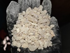 Highest Grade Boswellia