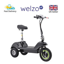 Folding 3-Wheel Electric