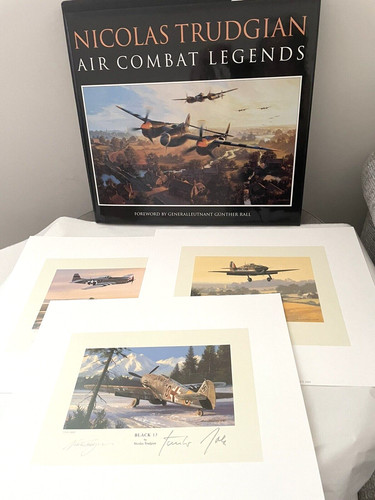 Nicolas trudgian air combat - trudgian,