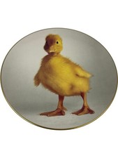 Royal Doulton RSPCA Duck Plate Limited Edition Collectible T2350 KET23