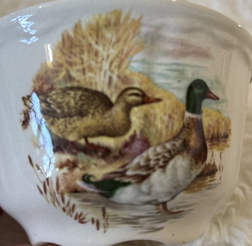 Royal worcester palissy game - royal,