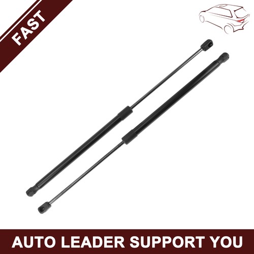 Tailgate lift supports struts - tailgate,