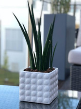 Flower Pots Home Decor Modern