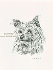 #102 YORKIE YORKSHIRE TERRIER